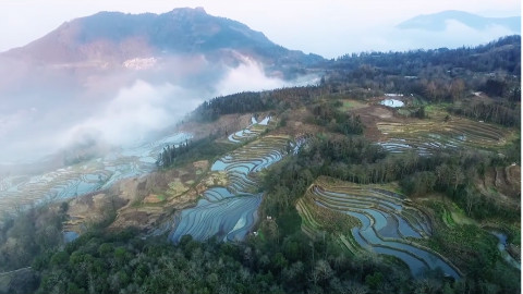摄影天堂,云南名片,七彩大地——这就是元阳梯田!